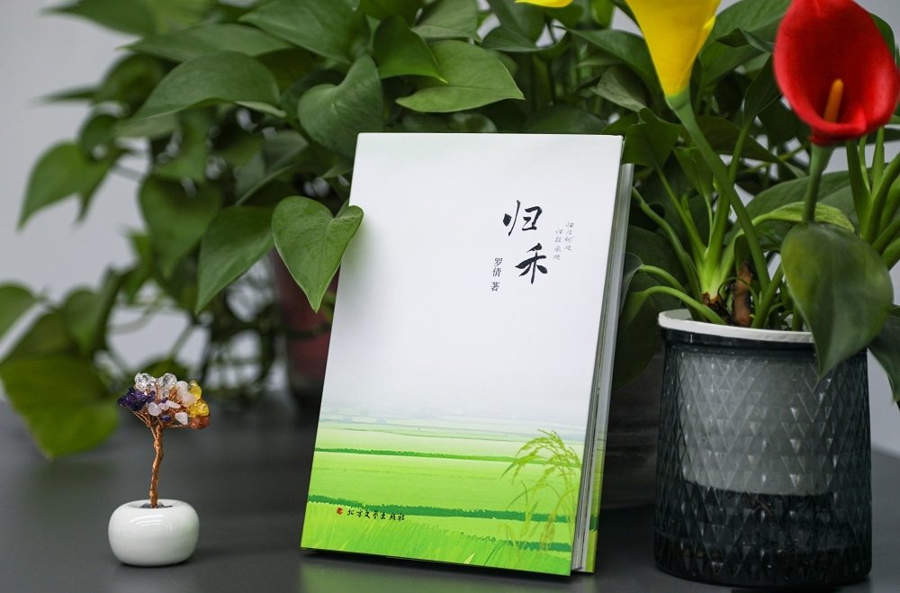 昭化區三百萬基金激勵創作 新政助力文藝精品繁榮