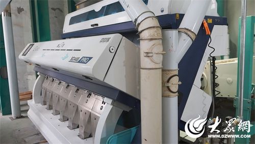 三農(nóng) 奮進(jìn)路丨農(nóng)業(yè)篇 廣饒勝大糧油提質(zhì) 煥新 促進(jìn)糧食產(chǎn)業(yè)高質(zhì)量發(fā)展