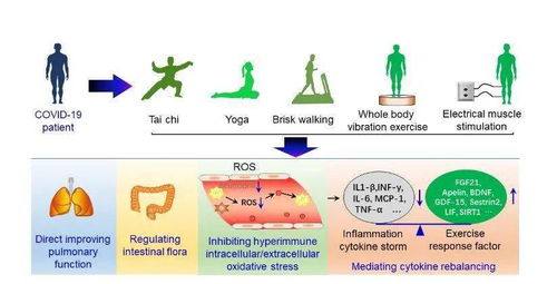 運動醫學與健康科學 2021年第4期導讀